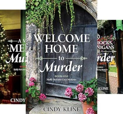 Cozy mystery series by Molly McGuire