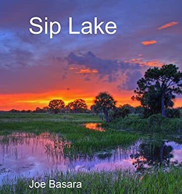 Stories and Lakes: Free Literary Fiction eBooks