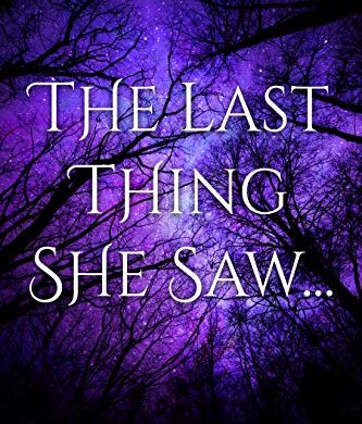 Vibrations and The Last Thing She Saw: Free Young Adult eBooks